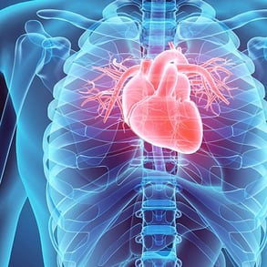home-pages-cardiovascular